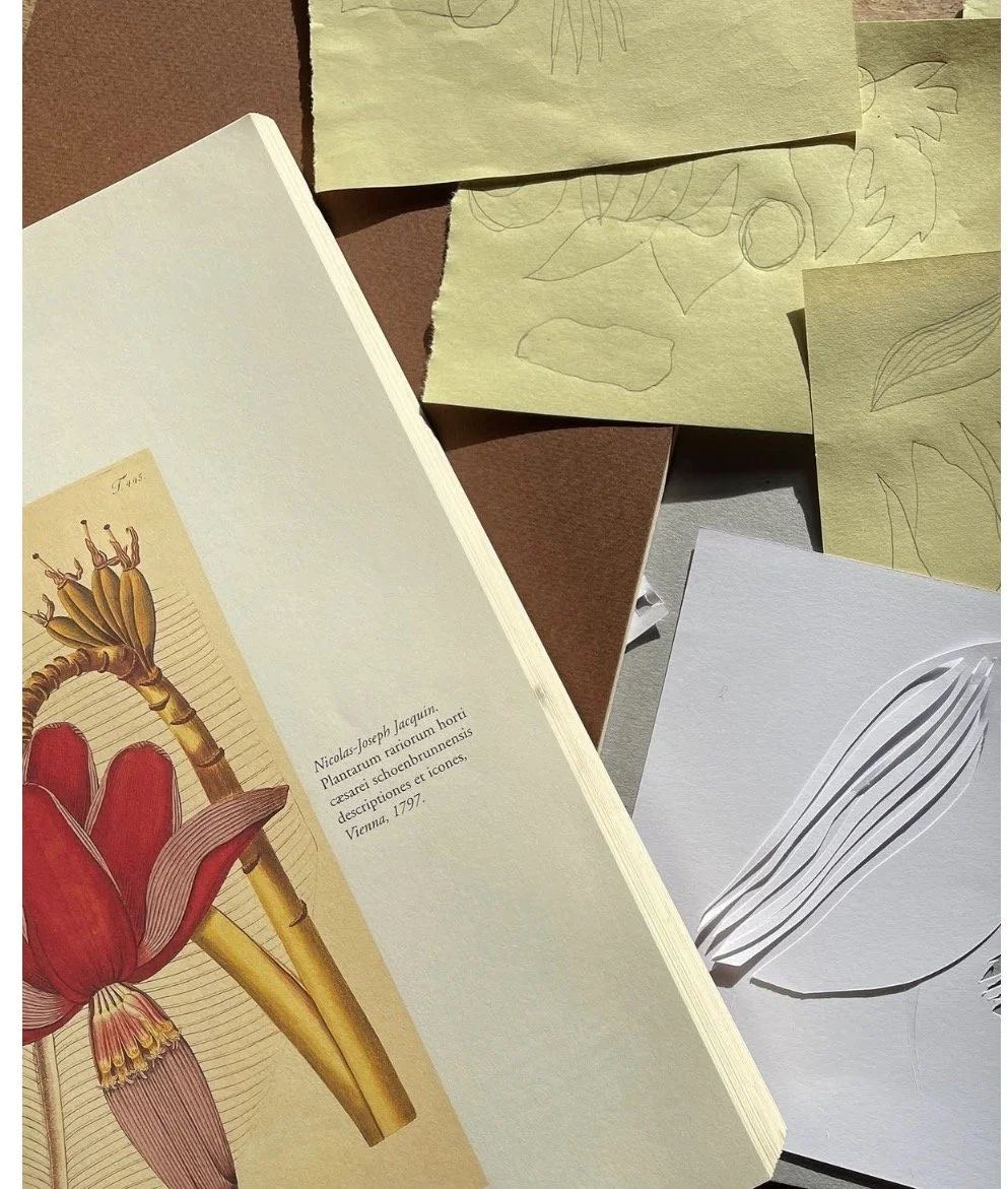 IMG_2980.jpeg