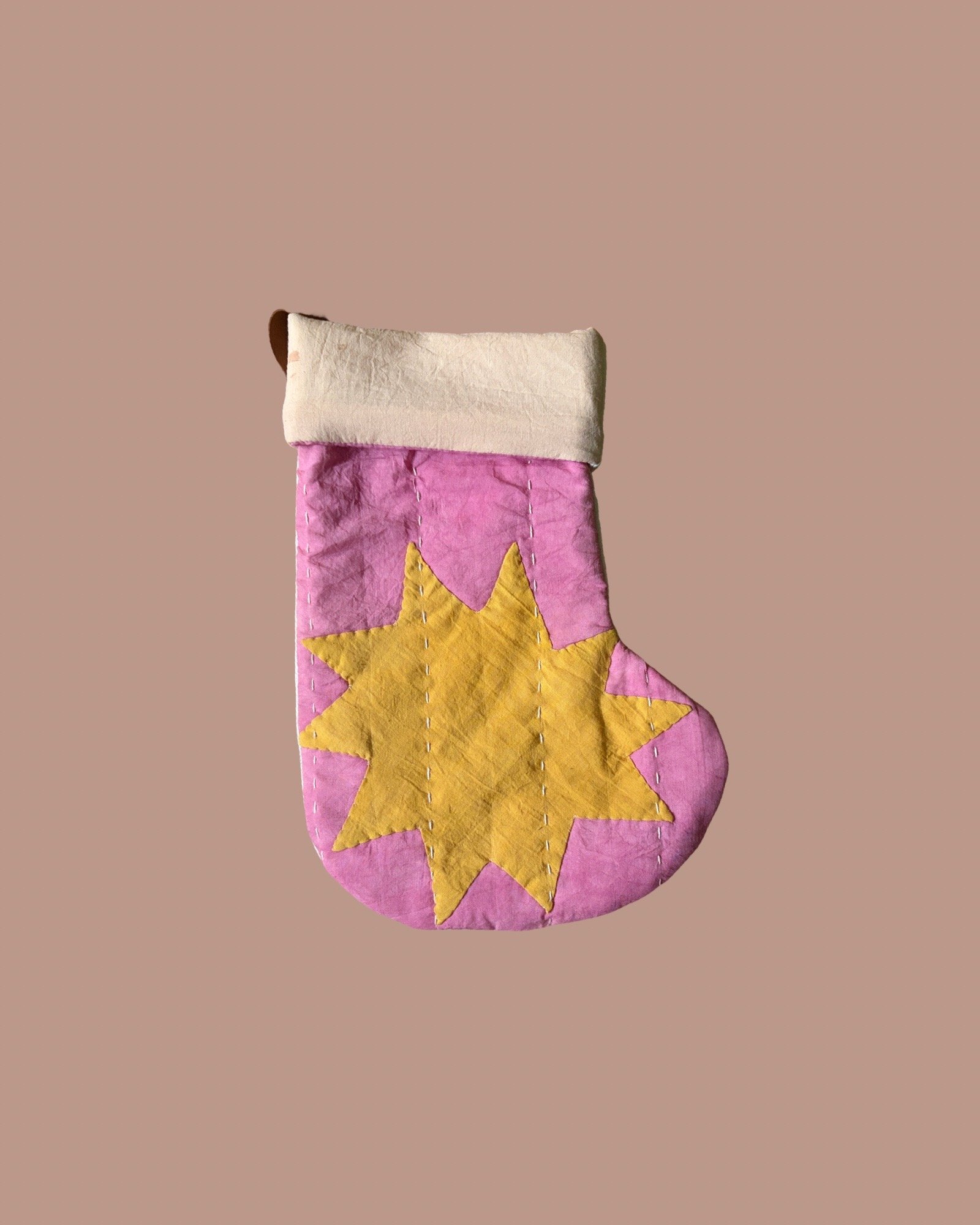 Mini Stocking- Twinkle Twinkle plant 4