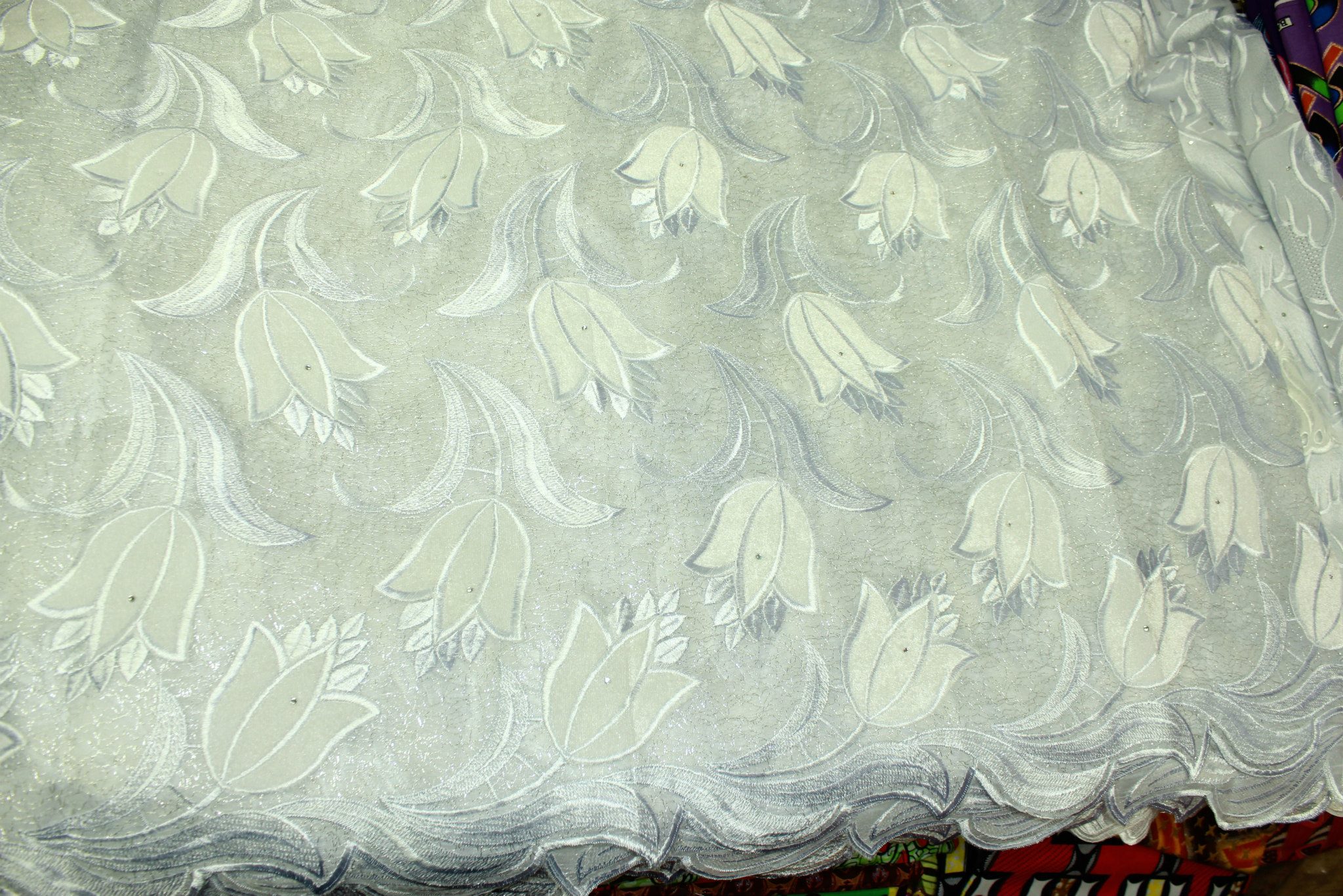 White Lace 81
