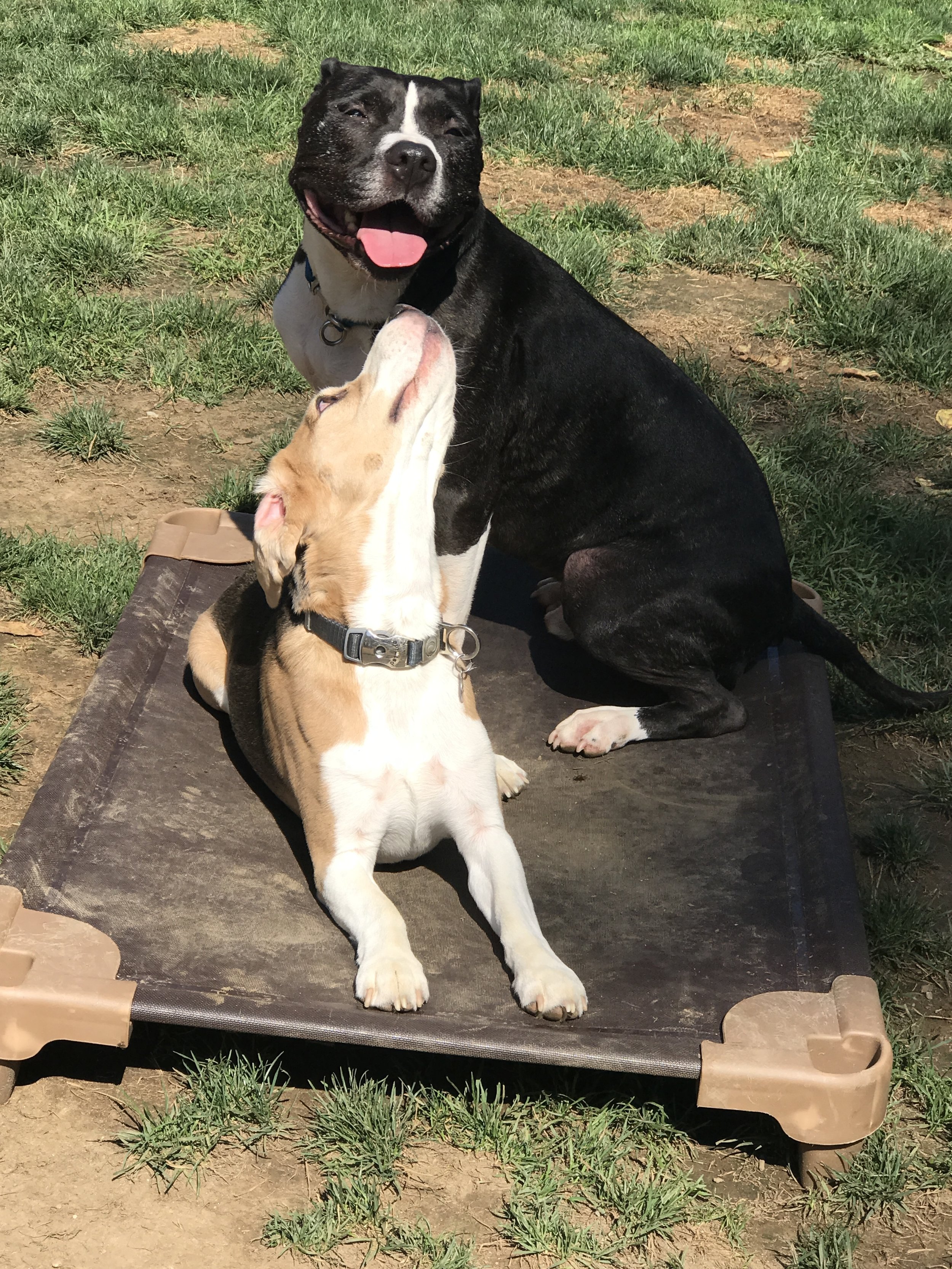 George and Kioshi.JPG