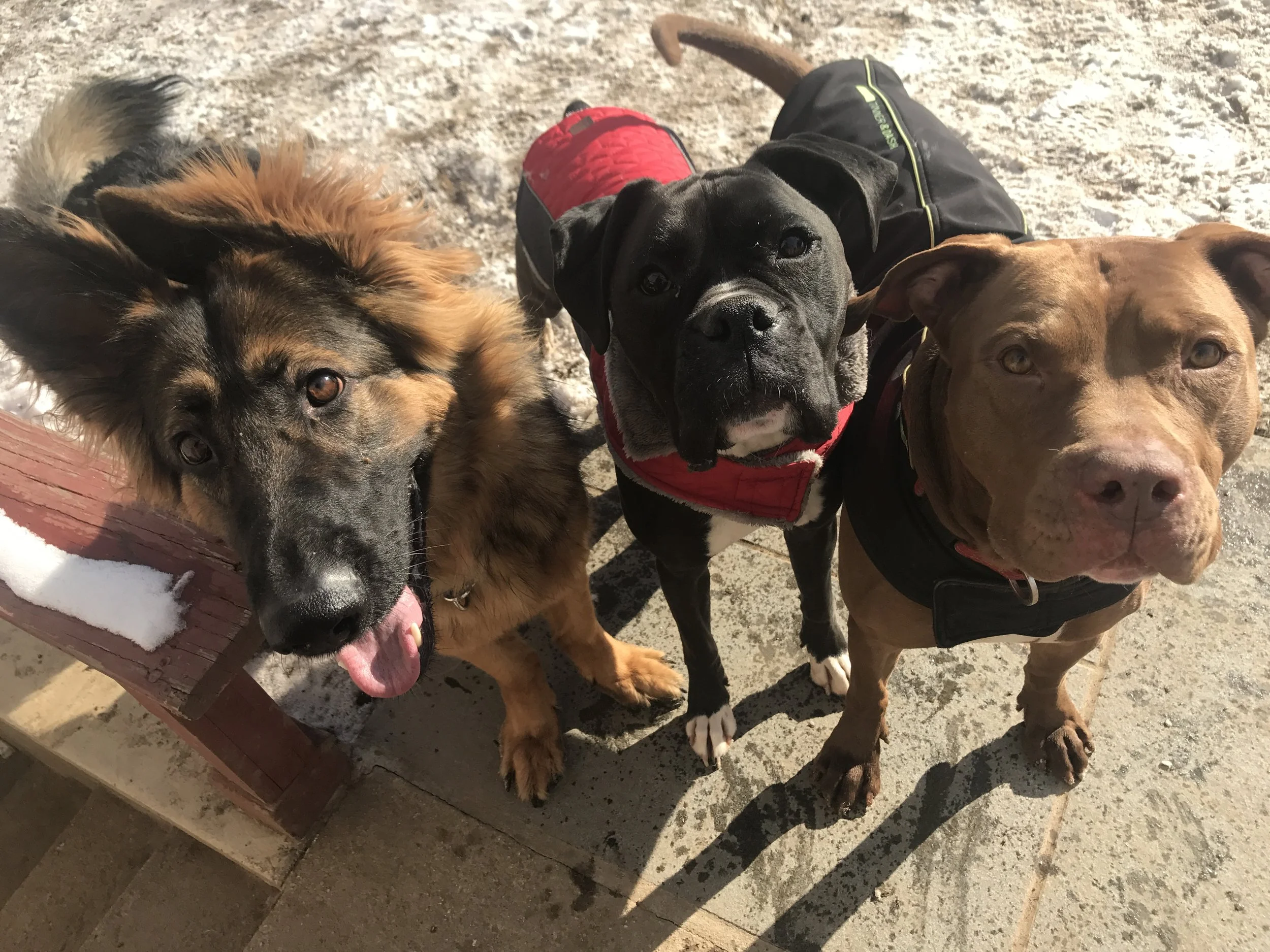 (L to R) Carly, Cobi and McLovin