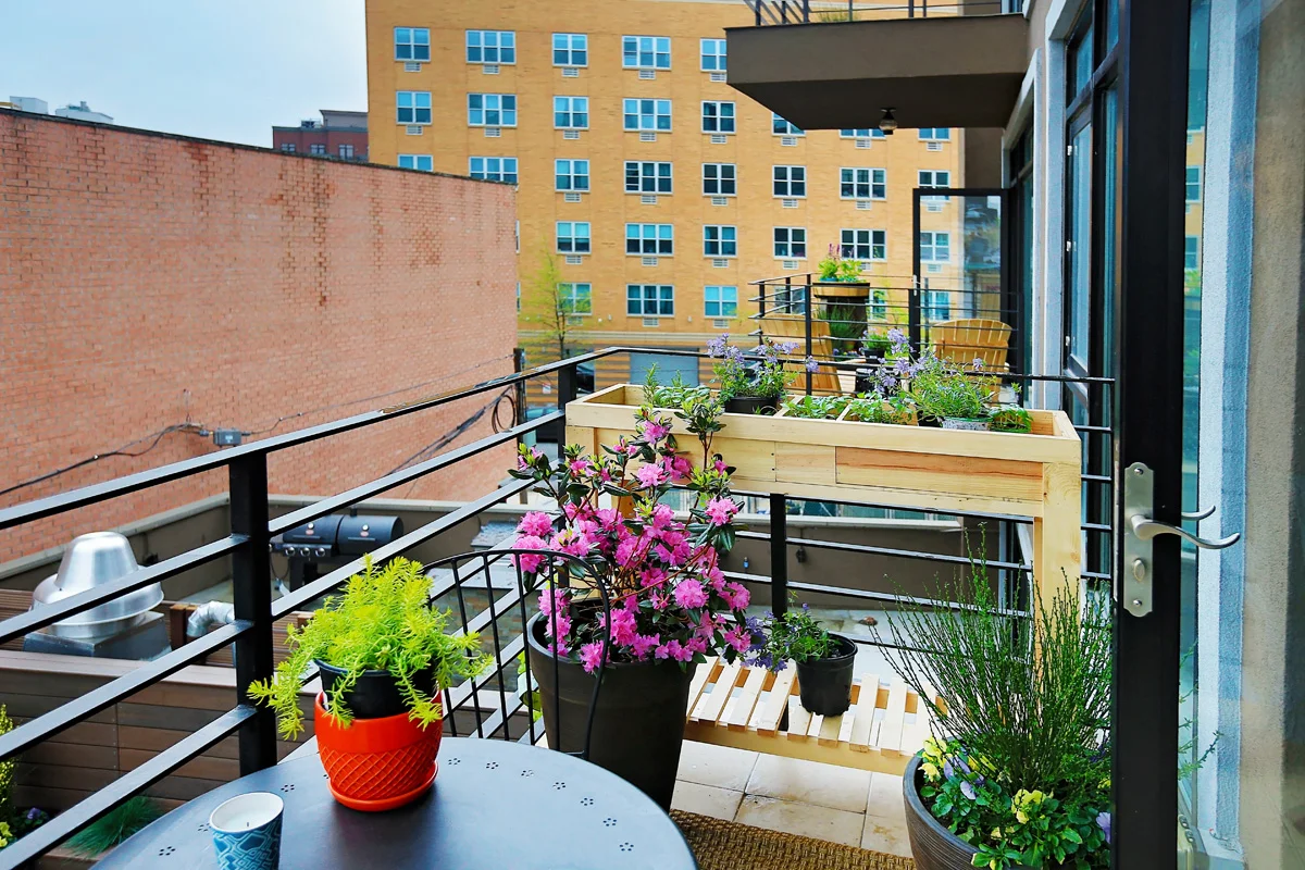 balconiesC72A3280.jpg