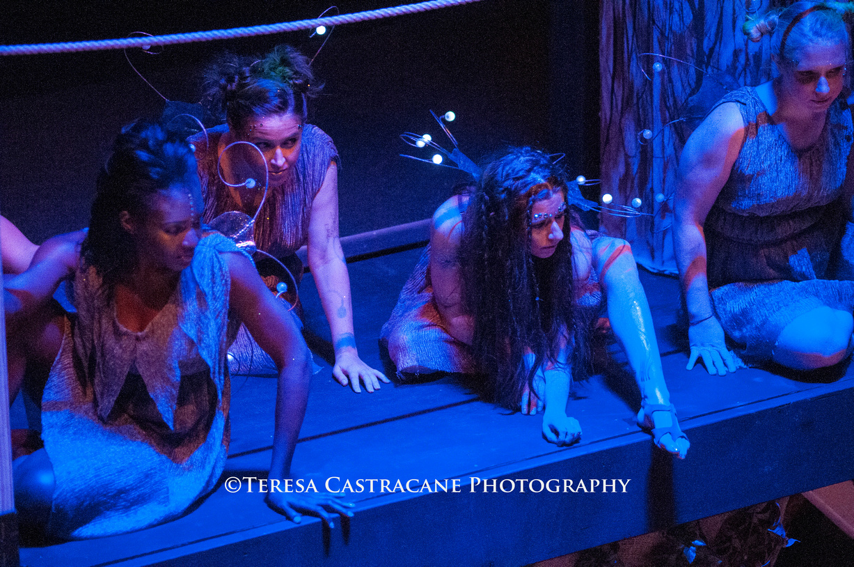 445_Midsummer 2014 copy-(ZF-8602-35845-1-006).jpg