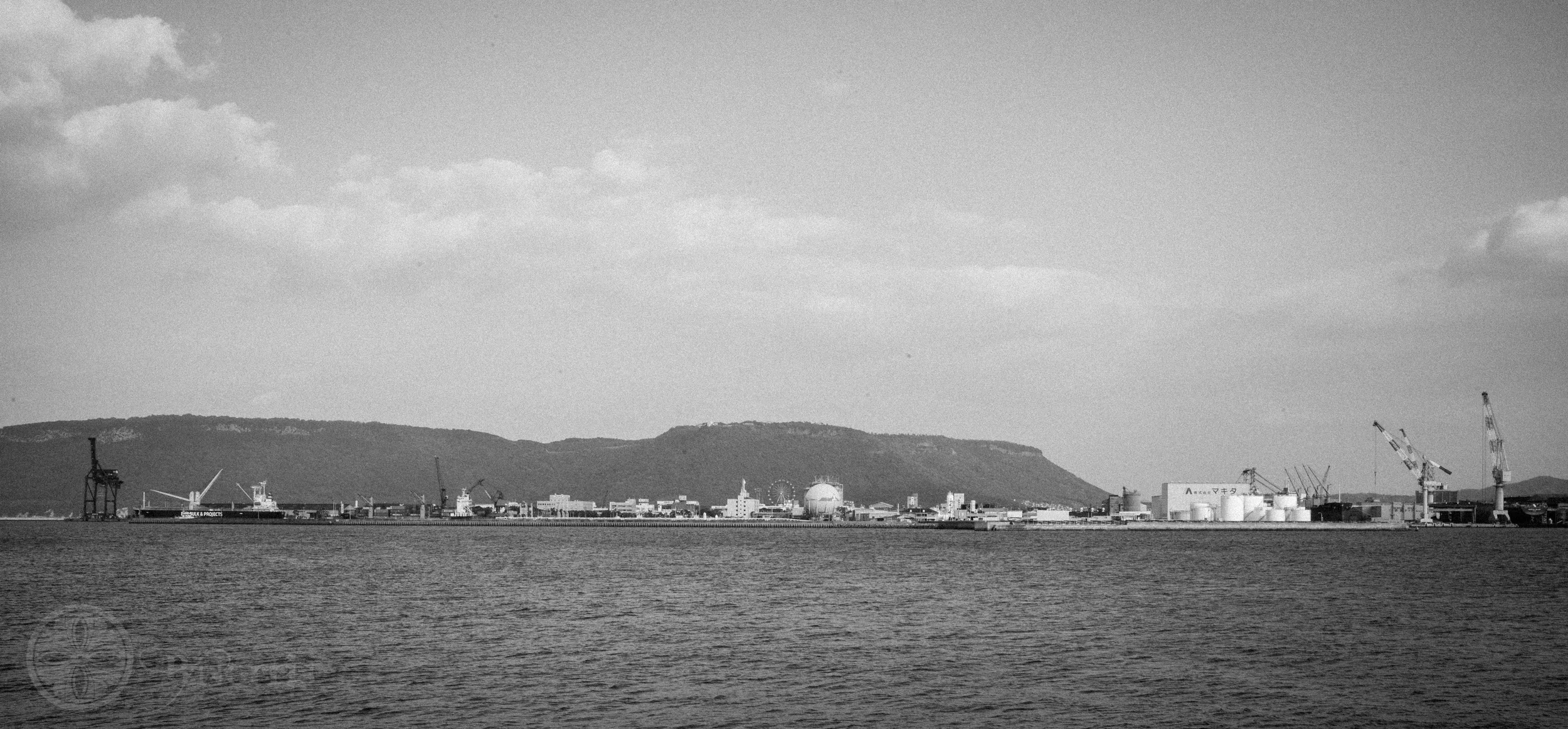 L1000438.jpg