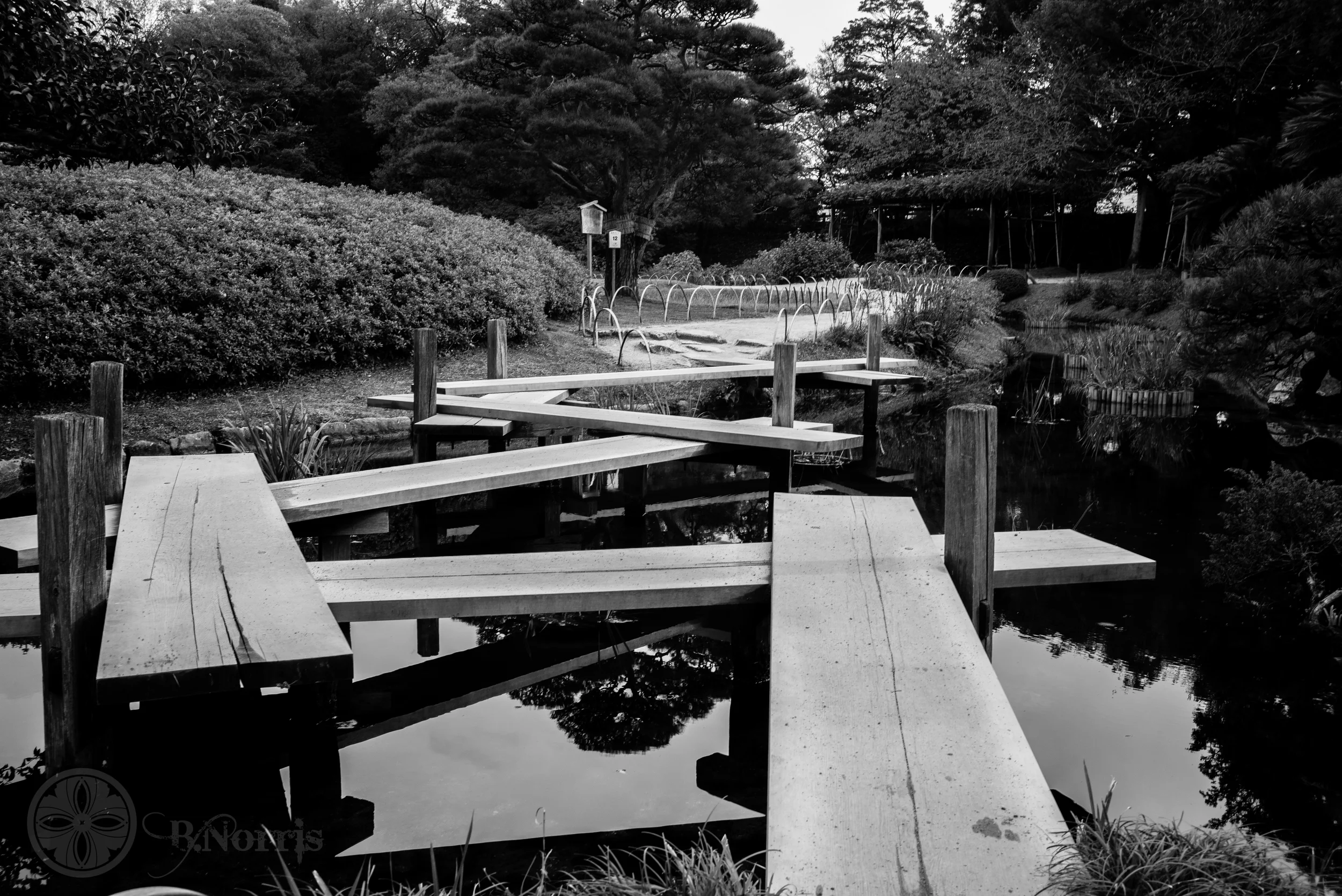 L1000755.jpg