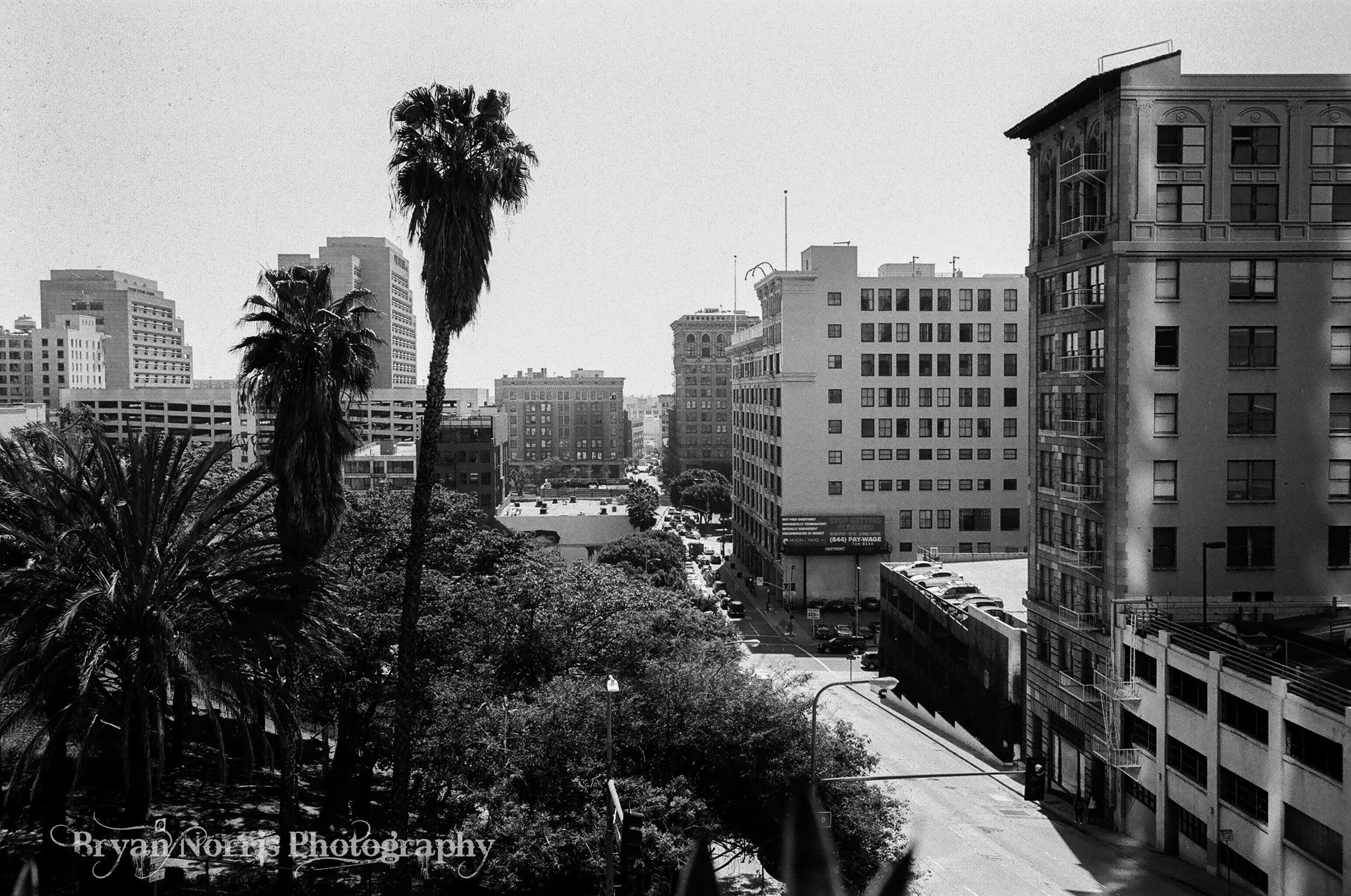 Street Photography Los Angeles (B&W Film)
