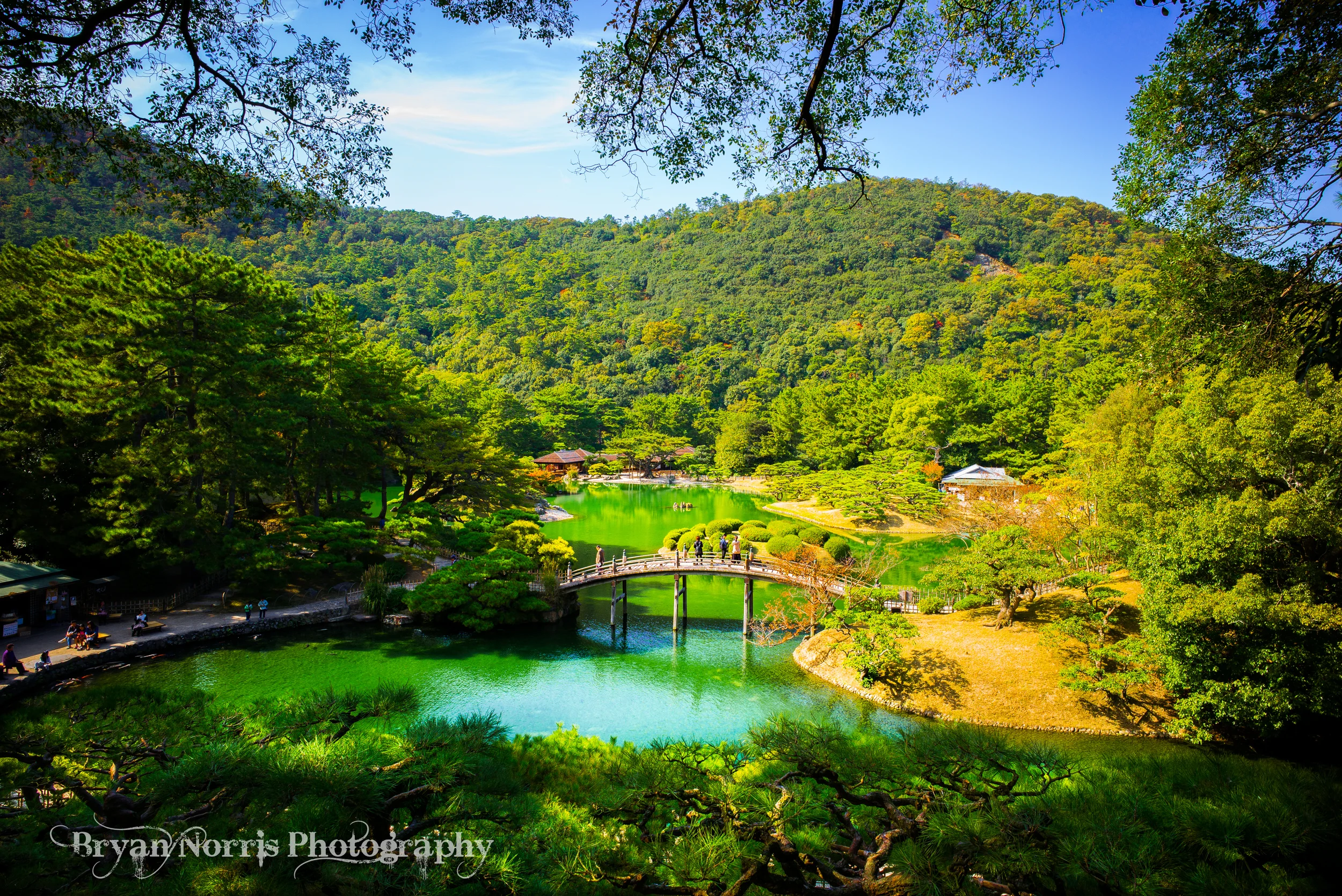 Japanese Garden
