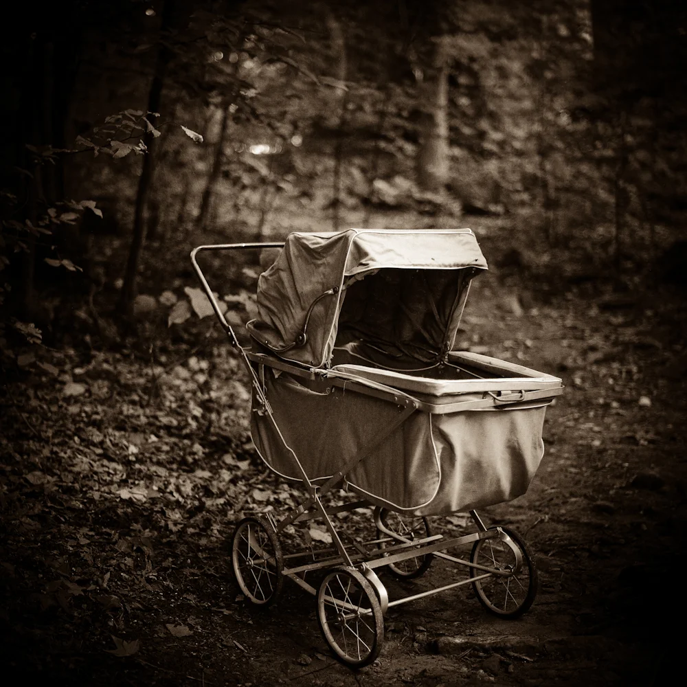Empty Nest