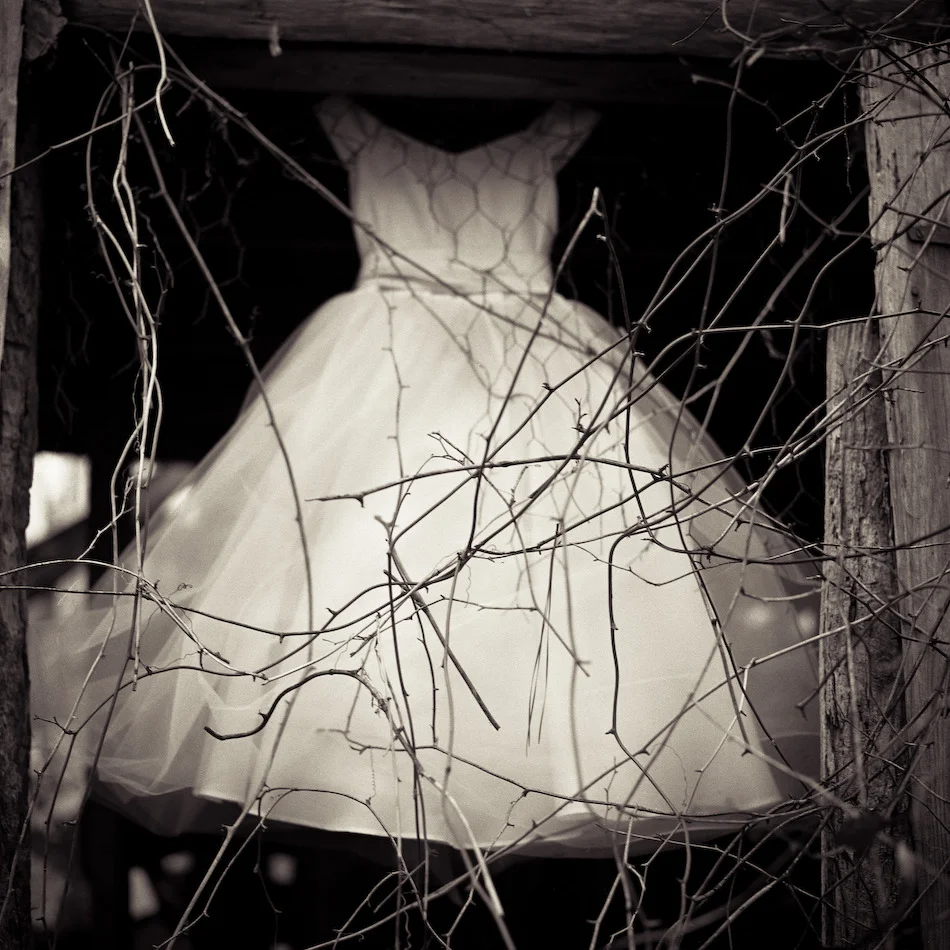 Chicken Wire