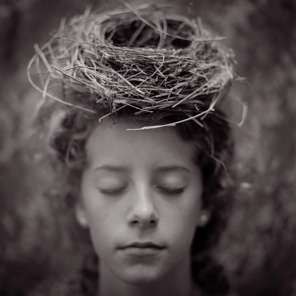 nest4haylei-1.jpg