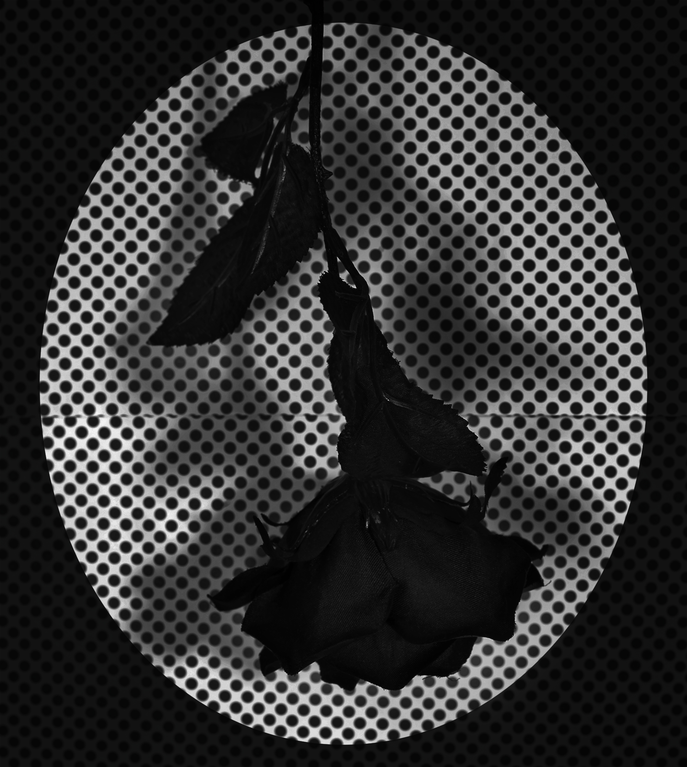 Fake Flower Study No. 3 from Mind Loop, 20 by 24 inches, Archival Pigment Print, 2018