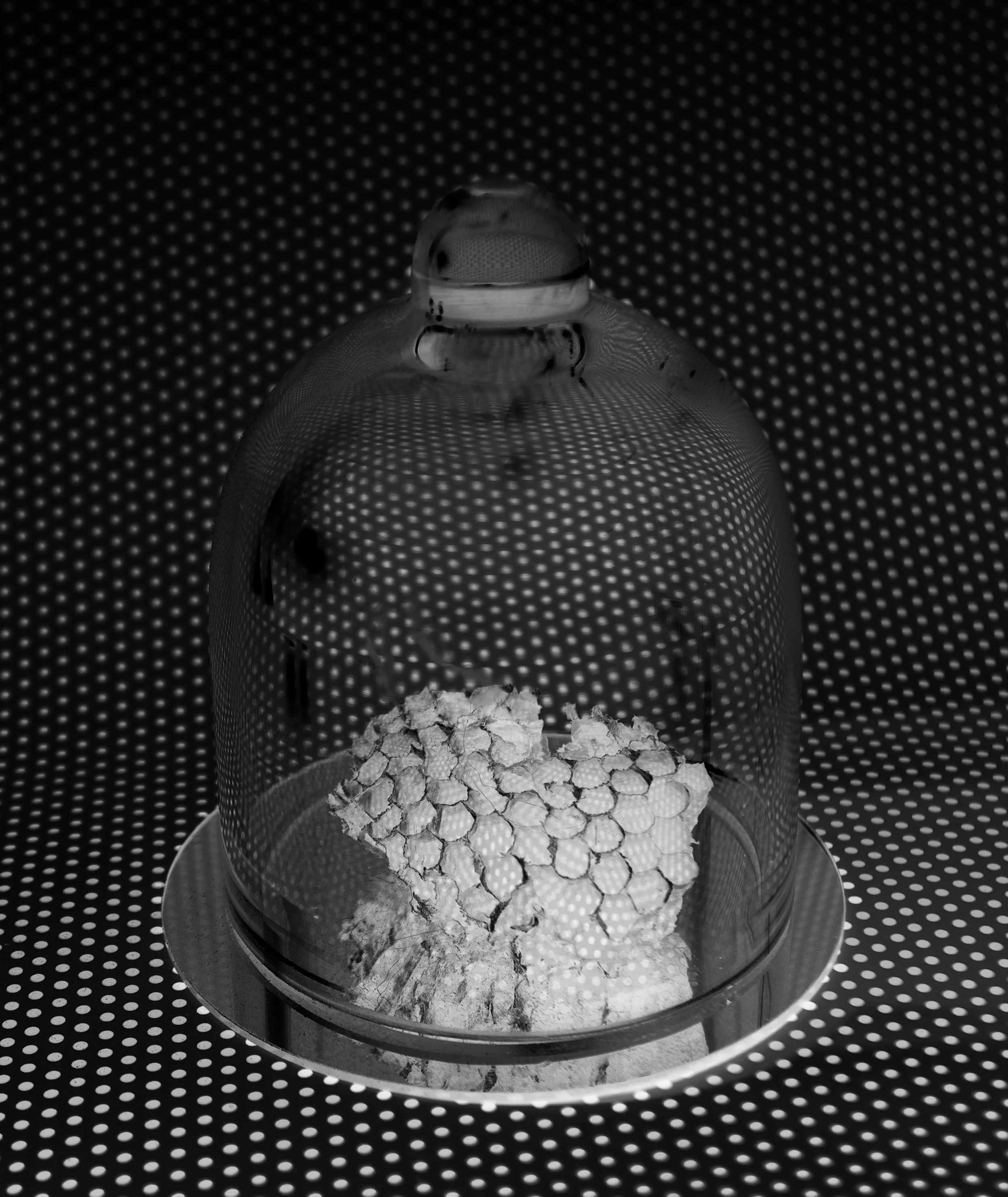 belljar_16x20.jpg