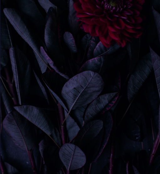 bg_block-floral_image-01.jpg