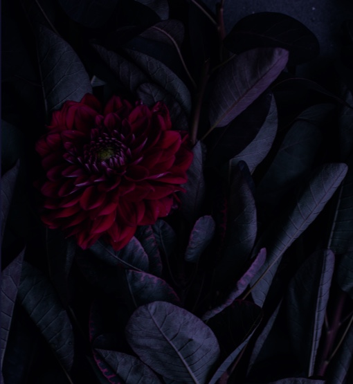 bg_block-floral_image-03.jpg