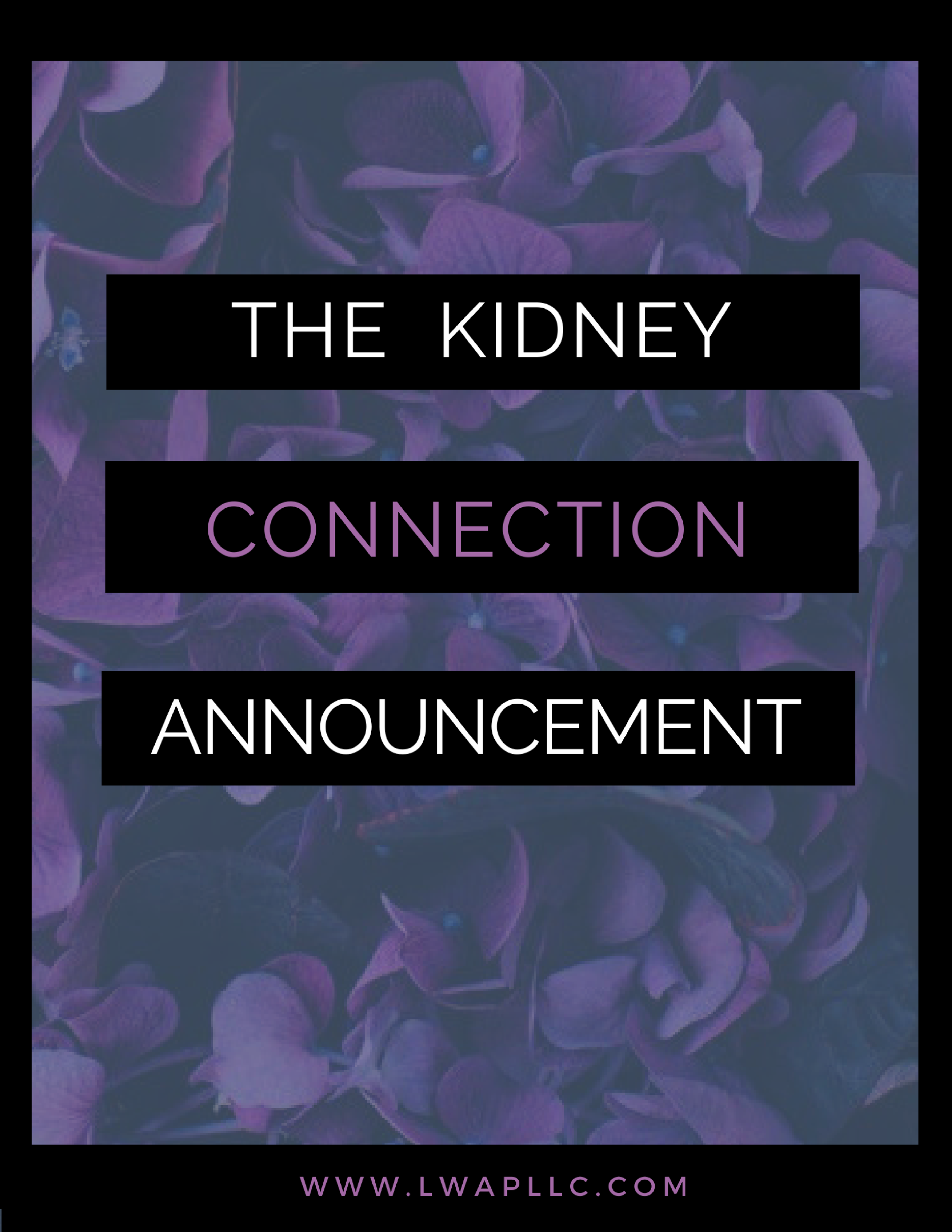 Dialysis Wellness...What's That?