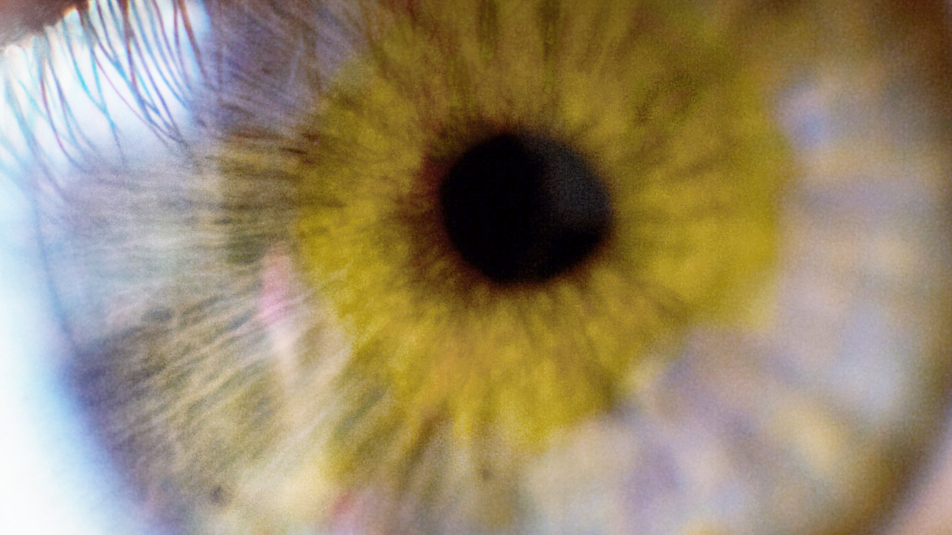 IC3-IDEOLIGY-bkgd.jpg