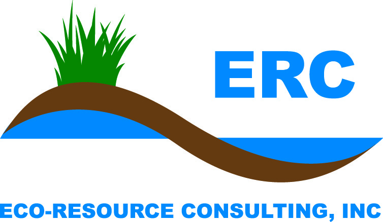 ERC_Logo_large.jpg