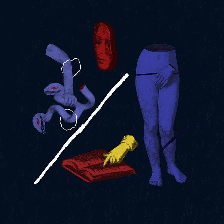 Illustration for Wild Combination 