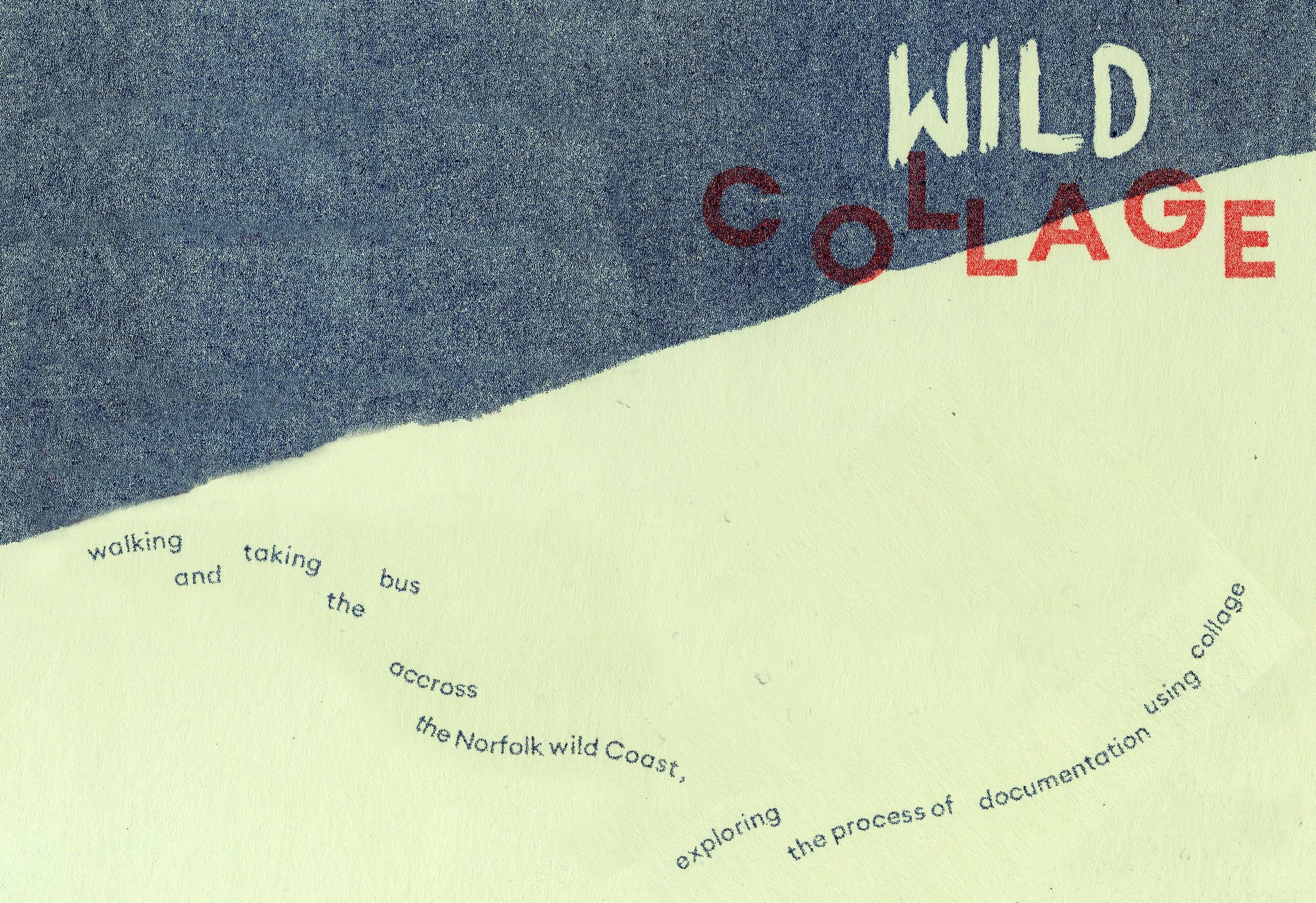 wild collage image.jpeg