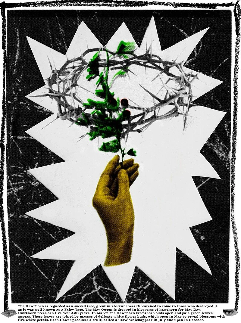 WhatsApp Image 2023-06-27 at 19.26.32.jpeg