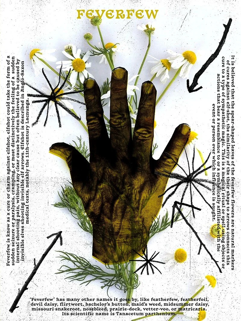 WhatsApp Image 2023-06-27 at 19.26.31.jpeg