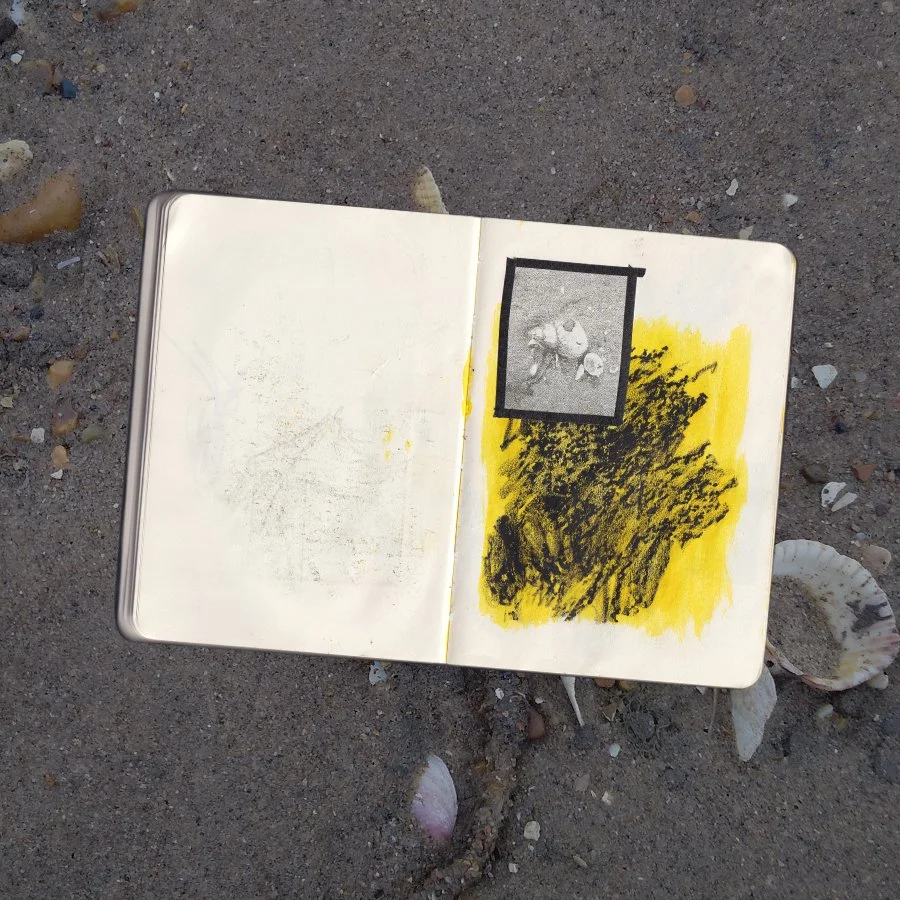 sketchbook image.jpg