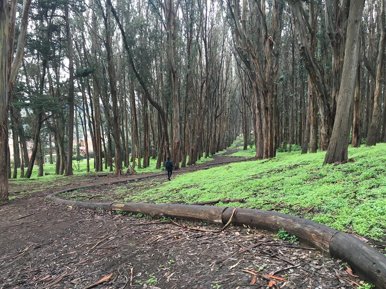 REAP_Home_No Text.JPG