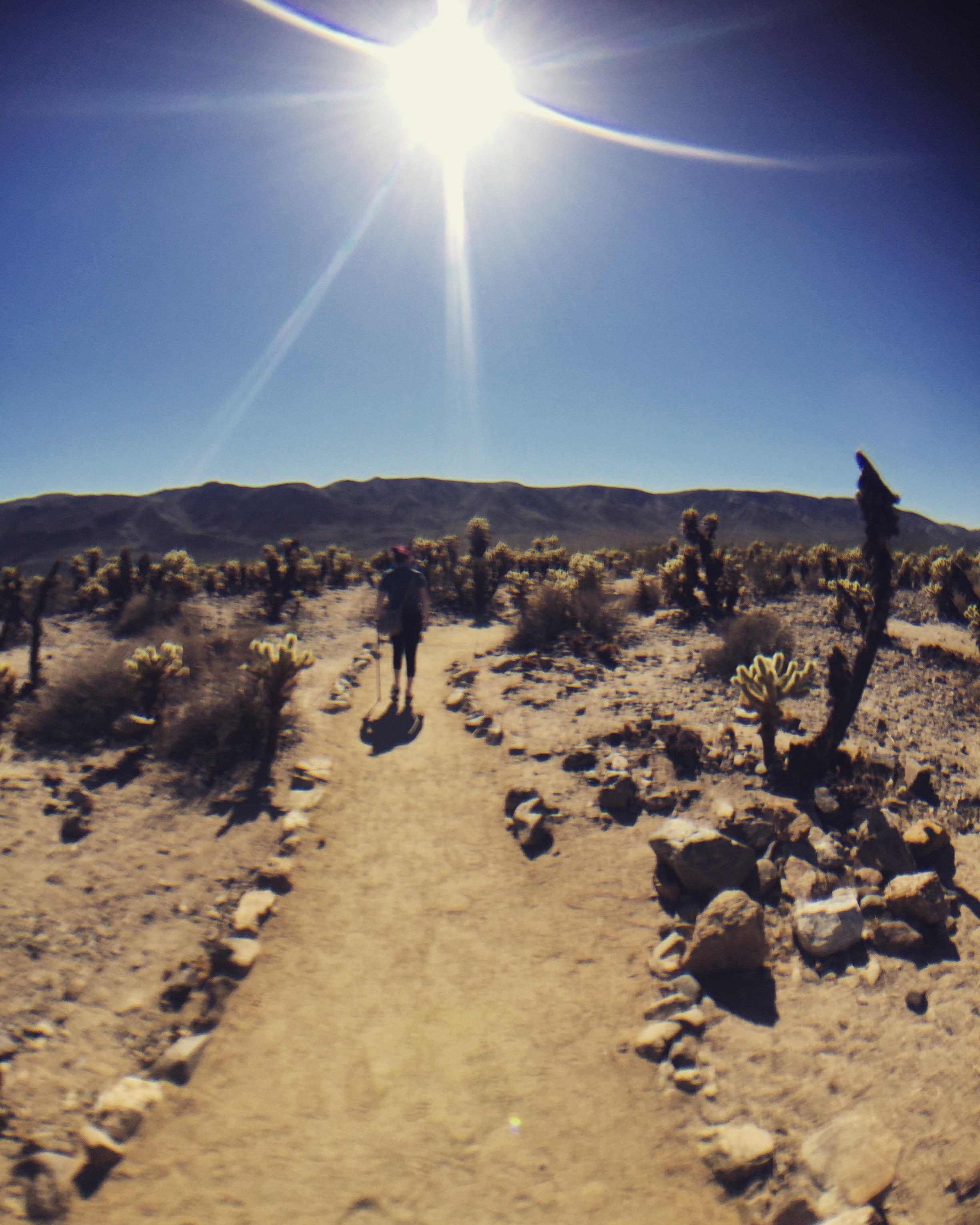 Heather walking with her cane in Joshua Tree National Park, 2016.