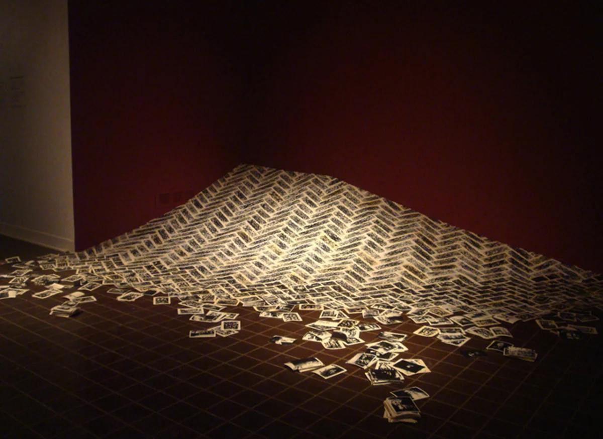 Andiamo al Campo (Collaboration with Emilee Booher) Relief prints and serigraphy on Arches and Rives BFK 2010