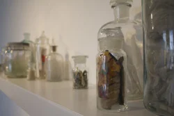 89352 Old Coburg Road (detail) Antique jars, collected artifacts from abandoned house 2013