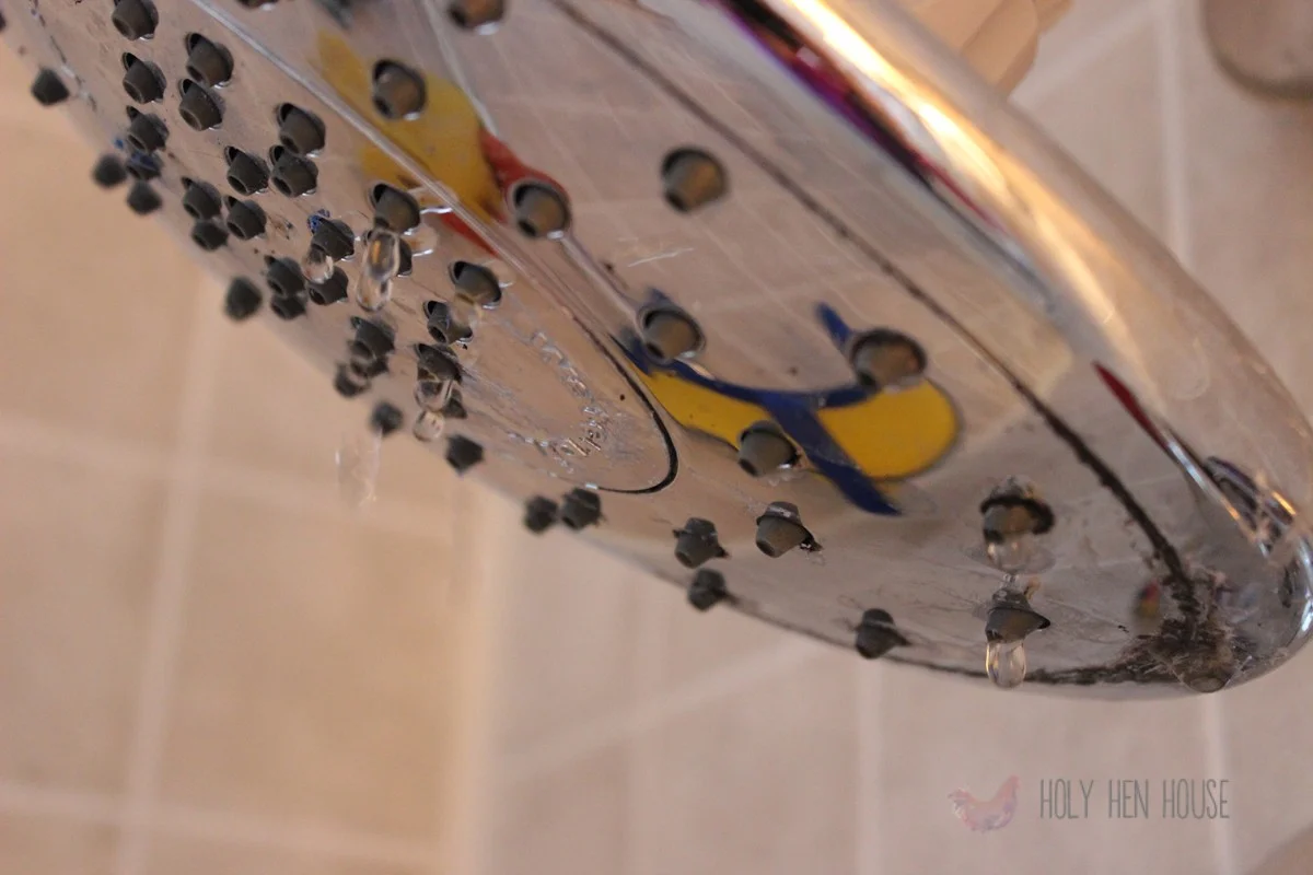 Showerhead.jpg