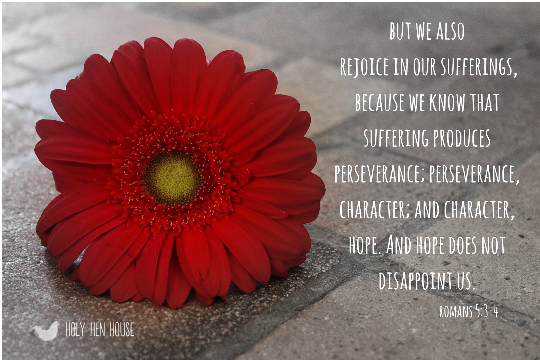 Gerbera_BW_w_Text.png