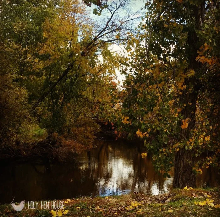 Fall_resized