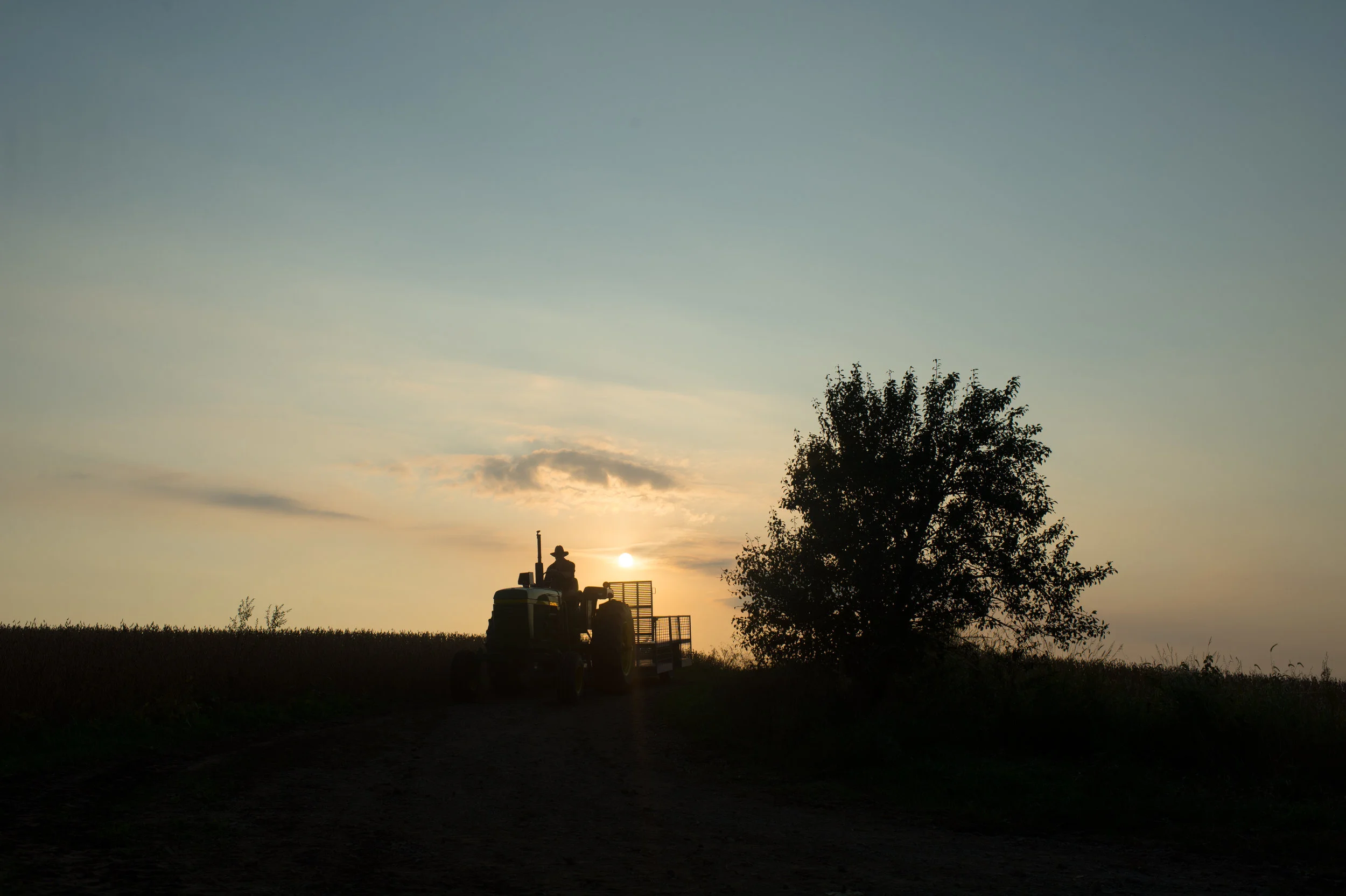 HHHfarmer-1.jpg