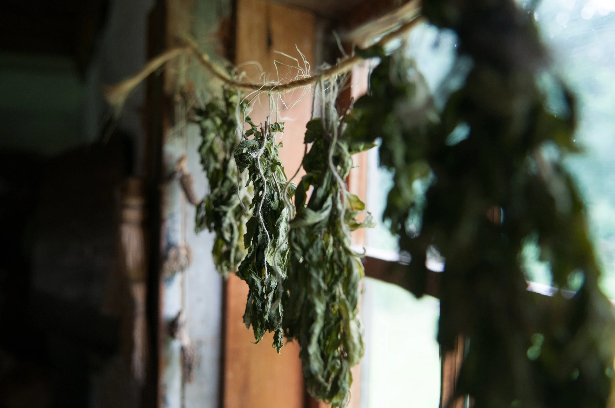 Better a little with the fear of the LORD than great wealth with turmoil. Better a dinner of herbs with love, than a fattened calf with hatred. Proverbs 15:16-17