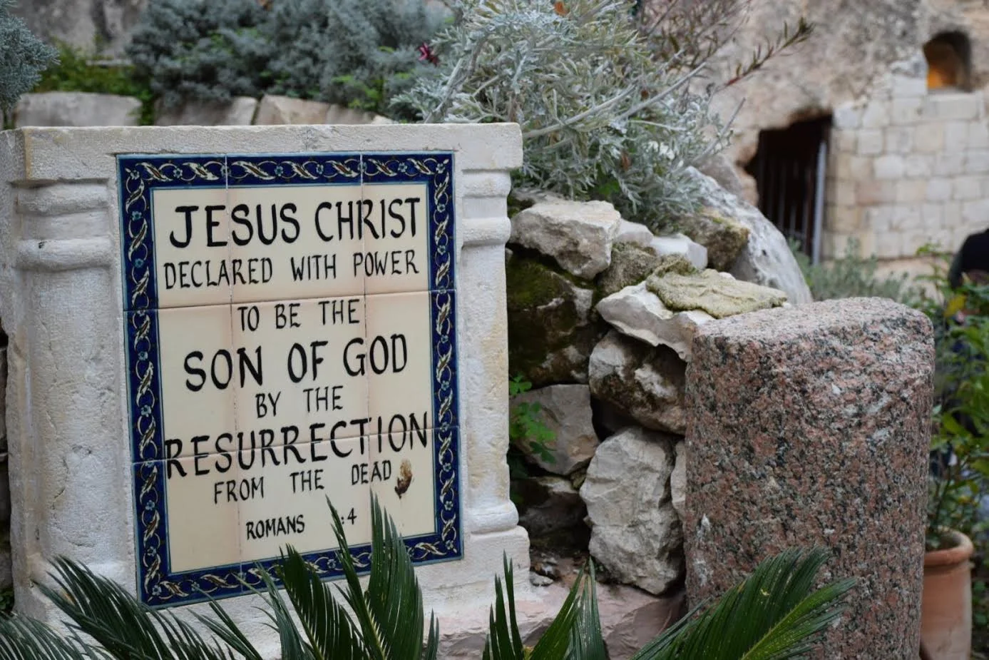 Photo taken in the garden of Gethsemane while visiting in January 2017.
