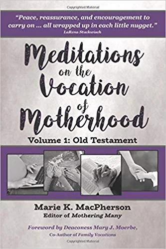 Meditiatons on the Vocation of Motherhood.jpg