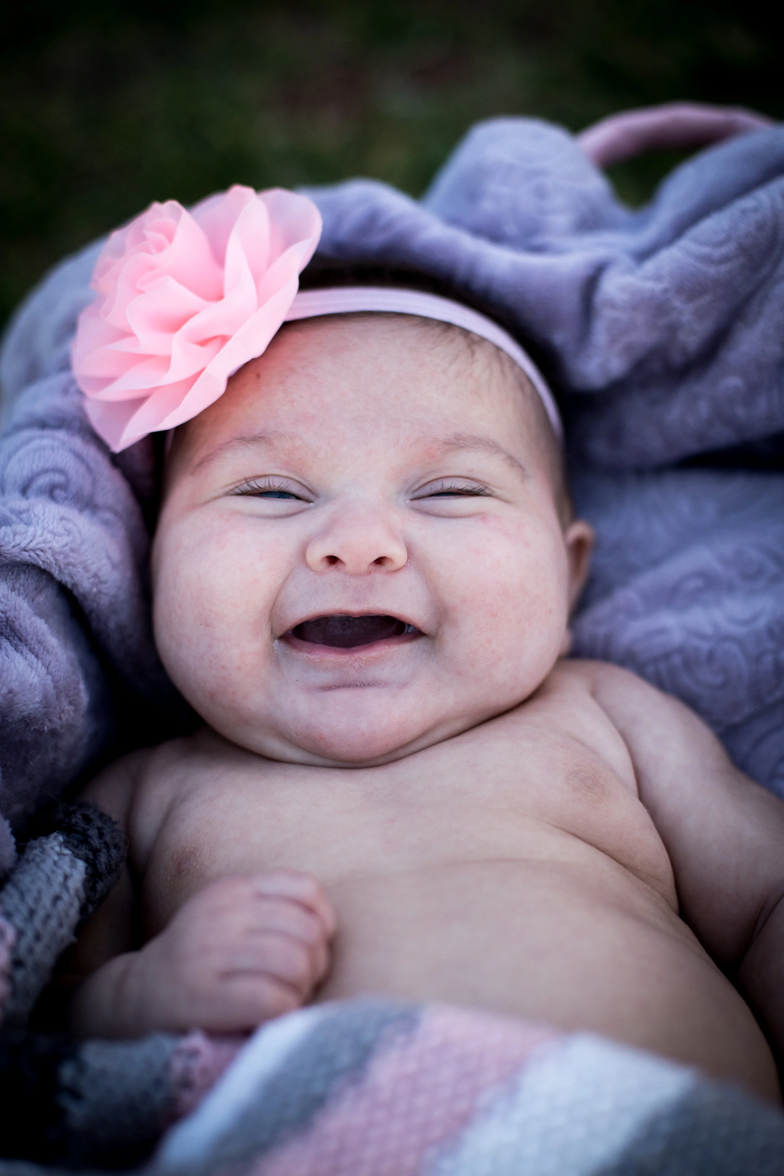 Lily-2.jpg