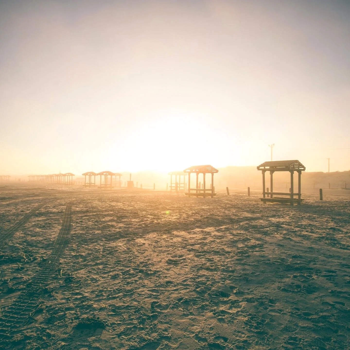21B1EC0D-FD33-450F-8E9E-848D7A3AB5B6.jpeg