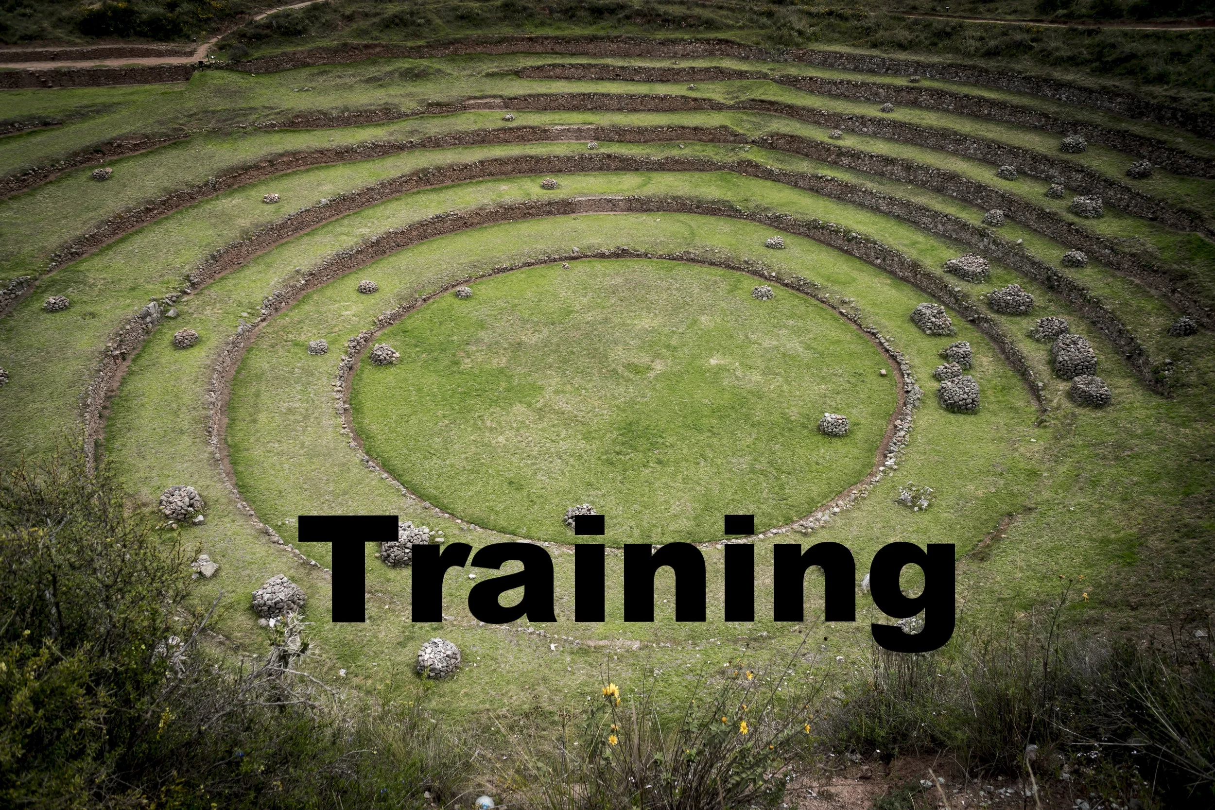 Find our Education courses here