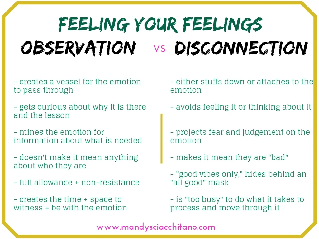 observation vs. disconnection.jpg