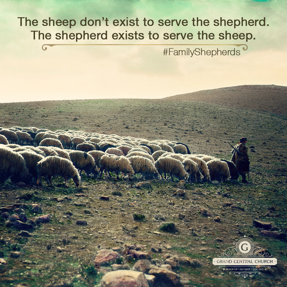 Family Shepherds | 6.19.2016