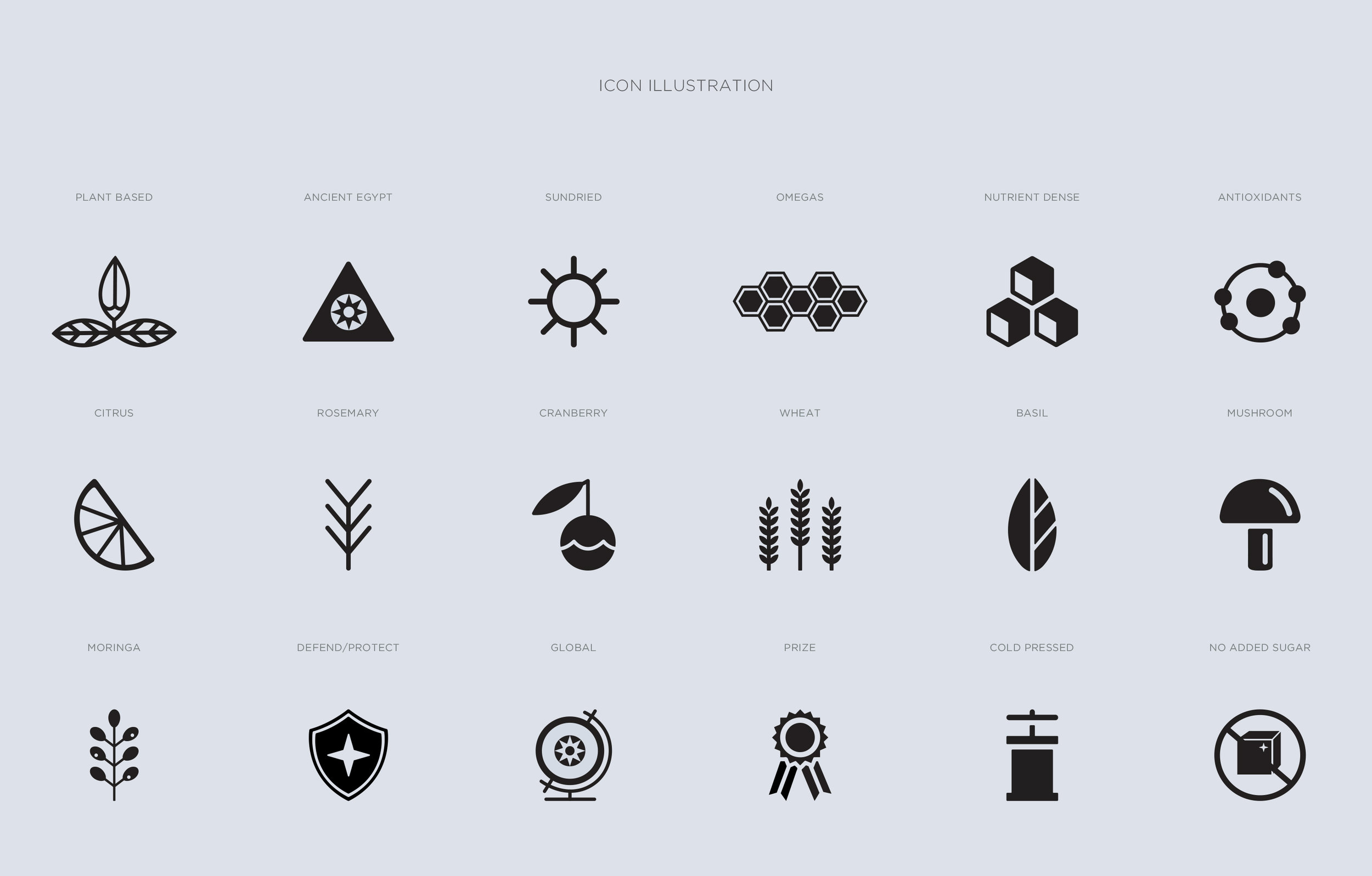 ICONOGRAPHY