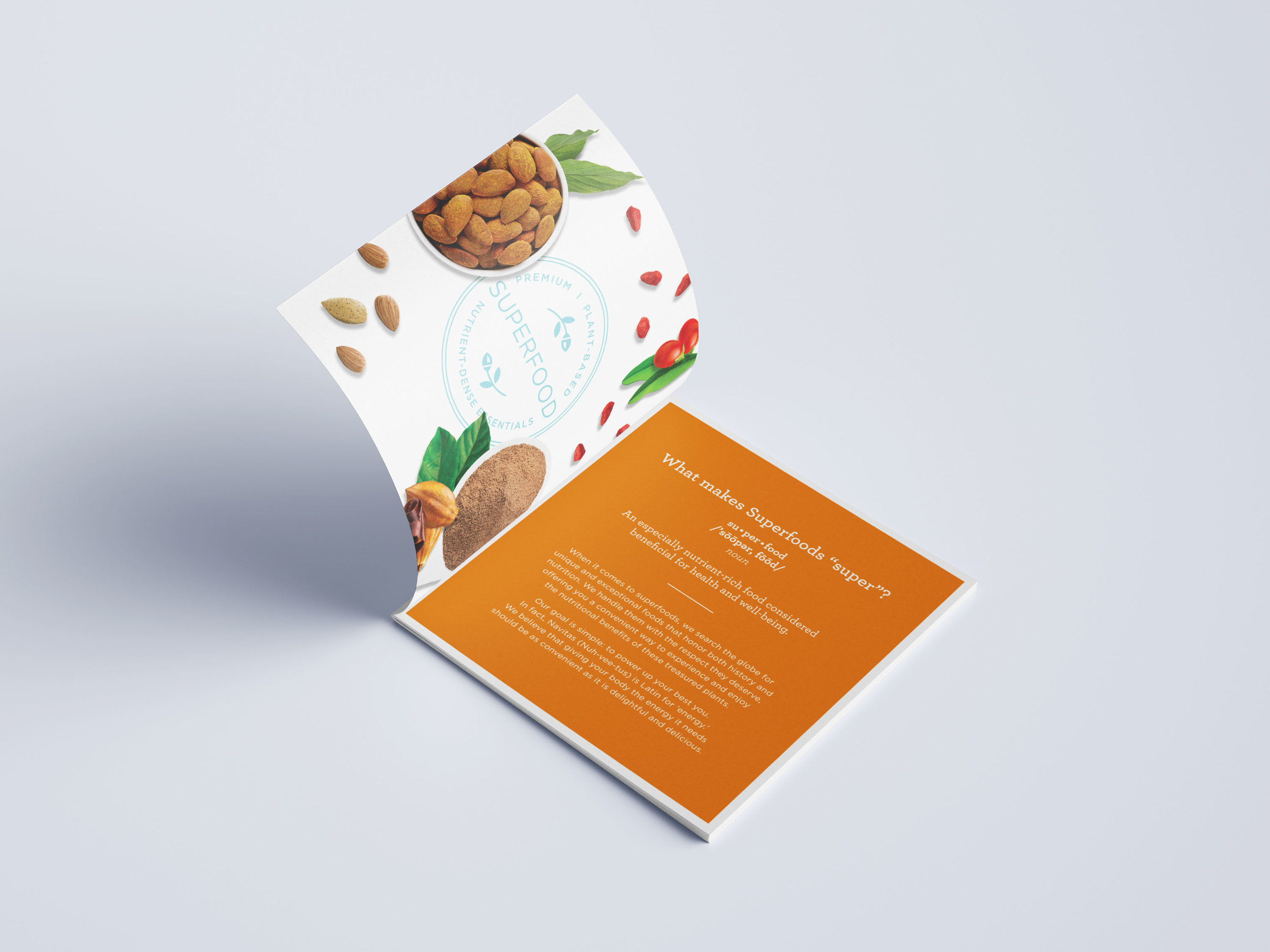brochure_nav4.jpg