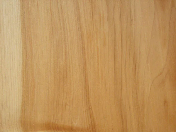 Hard Maple