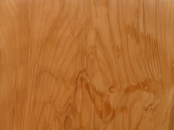 Beech