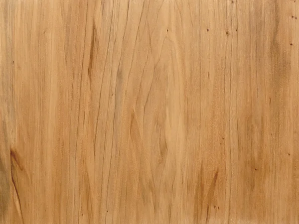 American Elm