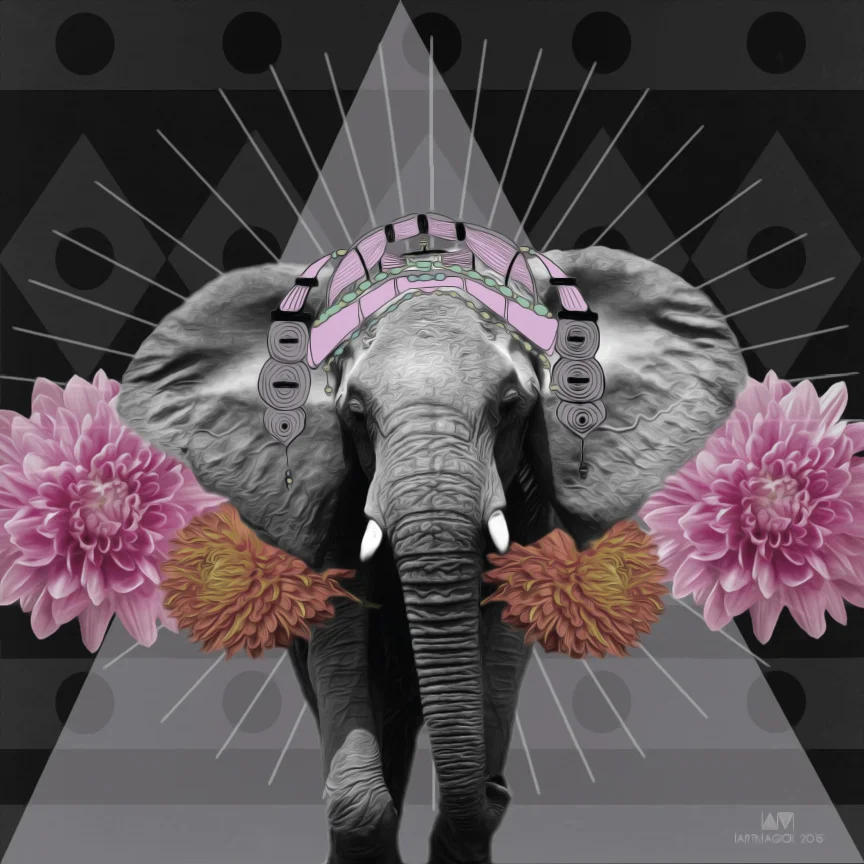 ELEPHANT-FORWEB.jpg