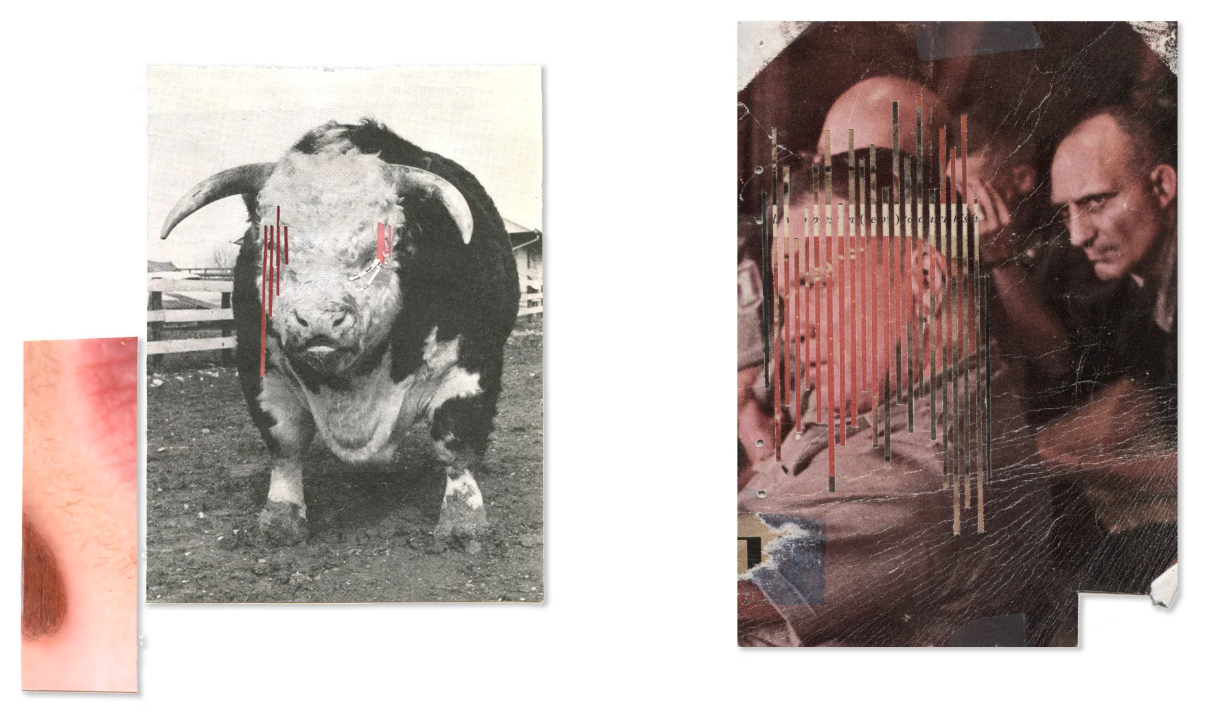 Tactical Man with Blind Cow