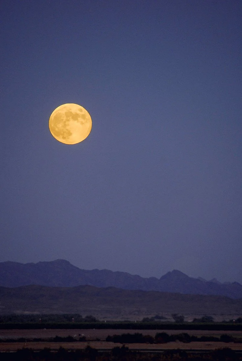 Evolutionary Astrology Blog Kosmic Mind